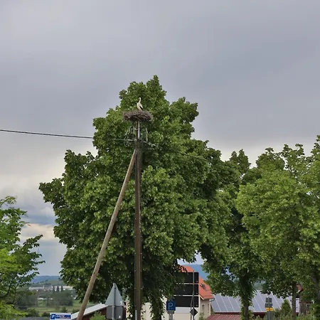 Апартаменты Gemuetliche Am Bodensee - Self-checkin *