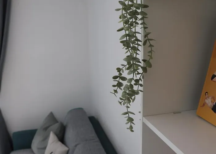 Apartament Gemuetliche Am Bodensee - Self-checkin *