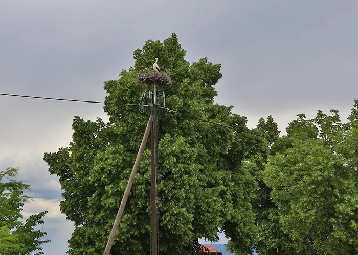 Apartament Gemuetliche Am Bodensee - Self-checkin *